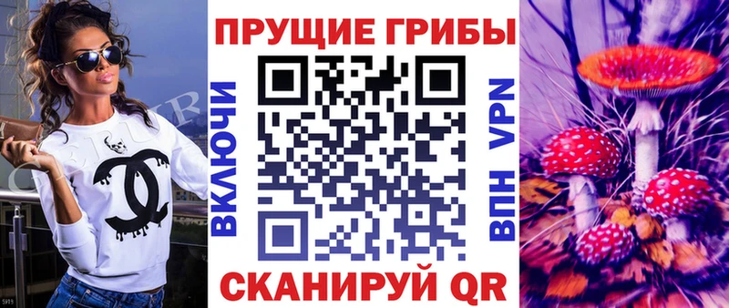 KRAKEN ссылка  Суджа  Псилоцибиновые грибы MAGIC MUSHROOMS 